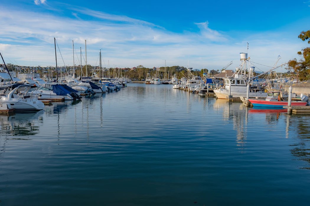 boats docked at marina