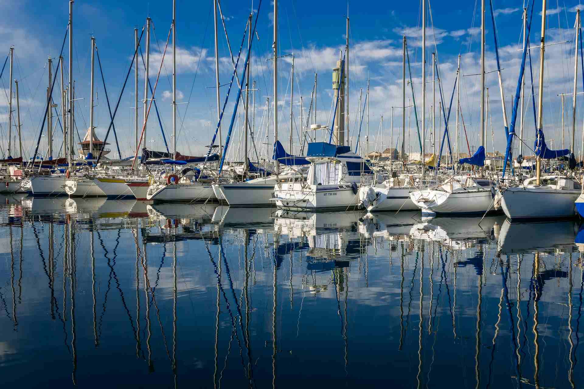 motor yachts at marina