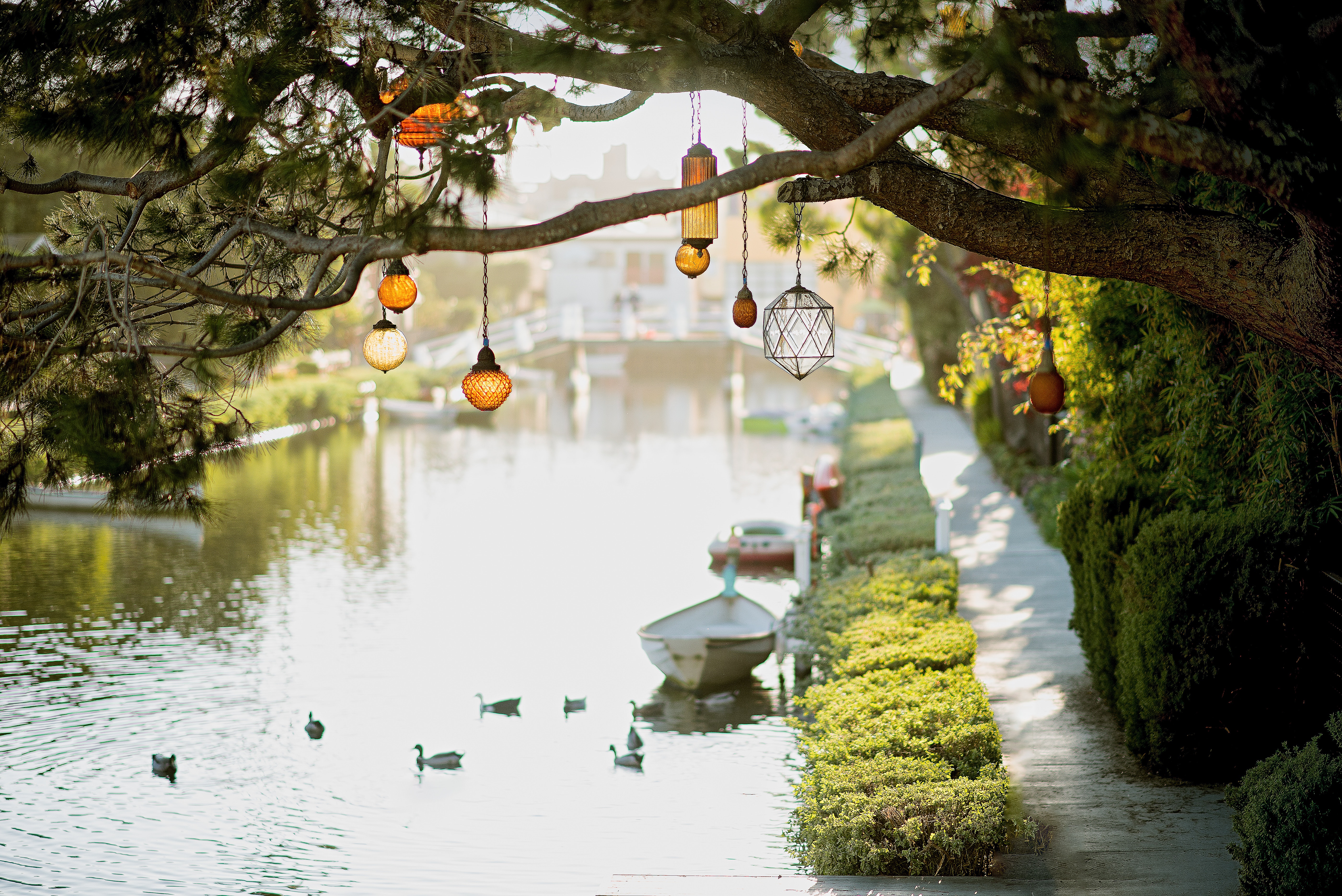hanging lights over canal
