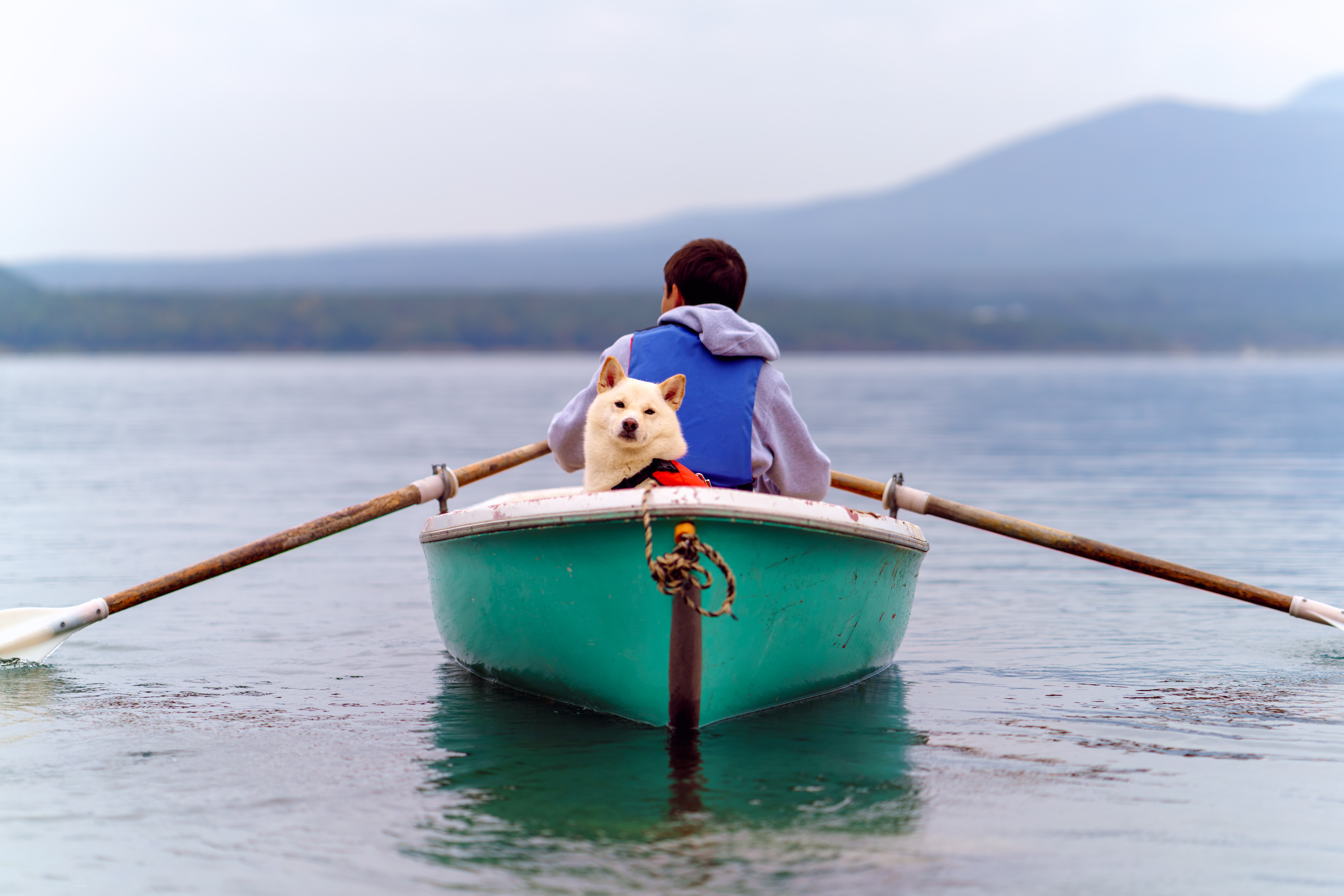 dog and owner on boat